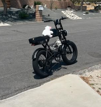 Her ebike